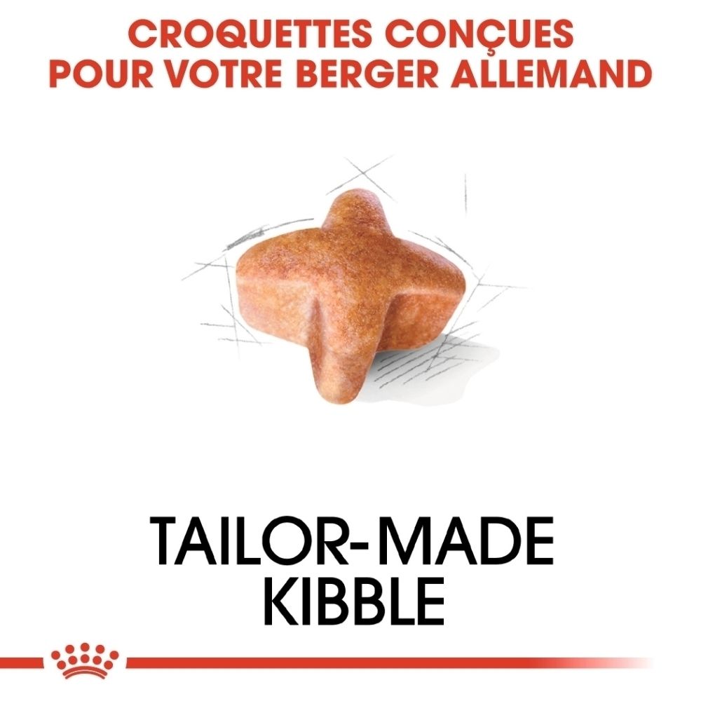 Ein einzelnes, sternförmiges Krokettenstück für Hunde.