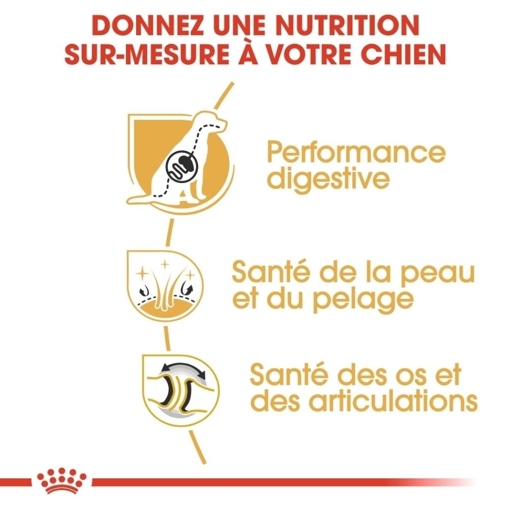 Drei Icons: Verdauungsleistung, Haut- und Fellgesundheit, Knochen- und Gelenkgesundheit.