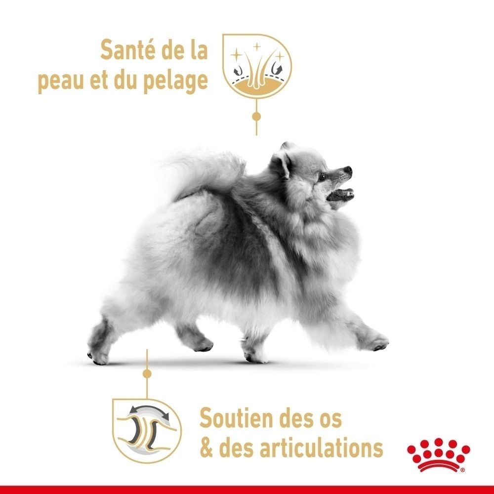 Ein Pomeranian mit Icons für Hautgesundheit und Gelenkunterstützung. Krone-Logo unten rechts.