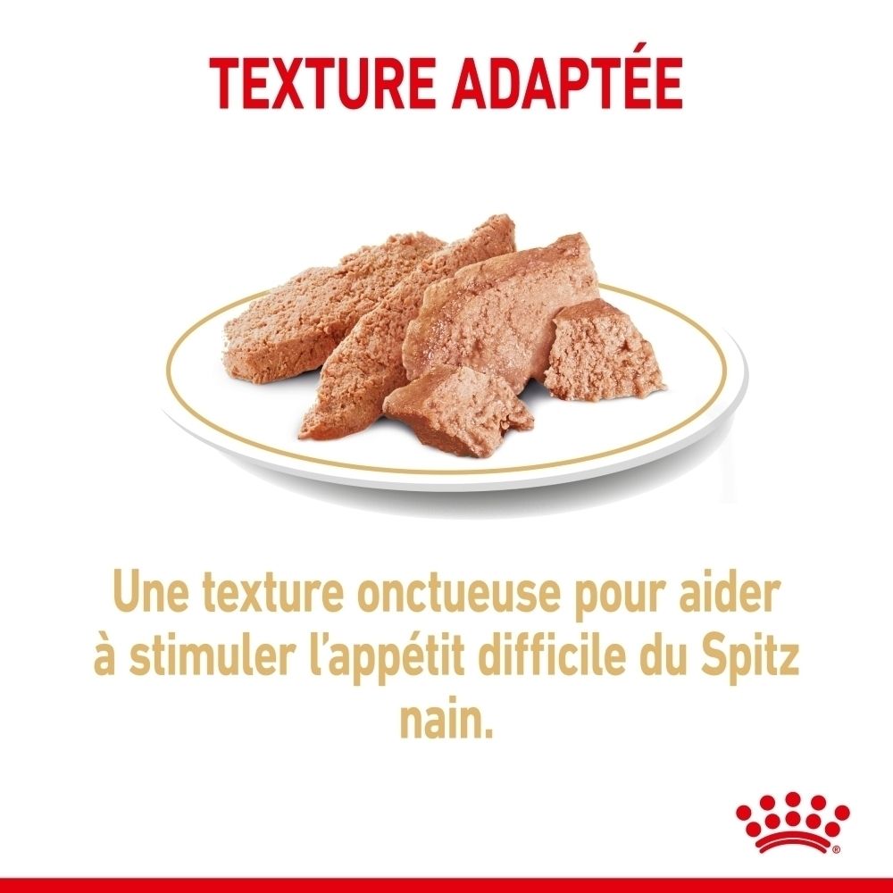 Mehrere Stücke feuchtes Tierfutter auf einem Teller.