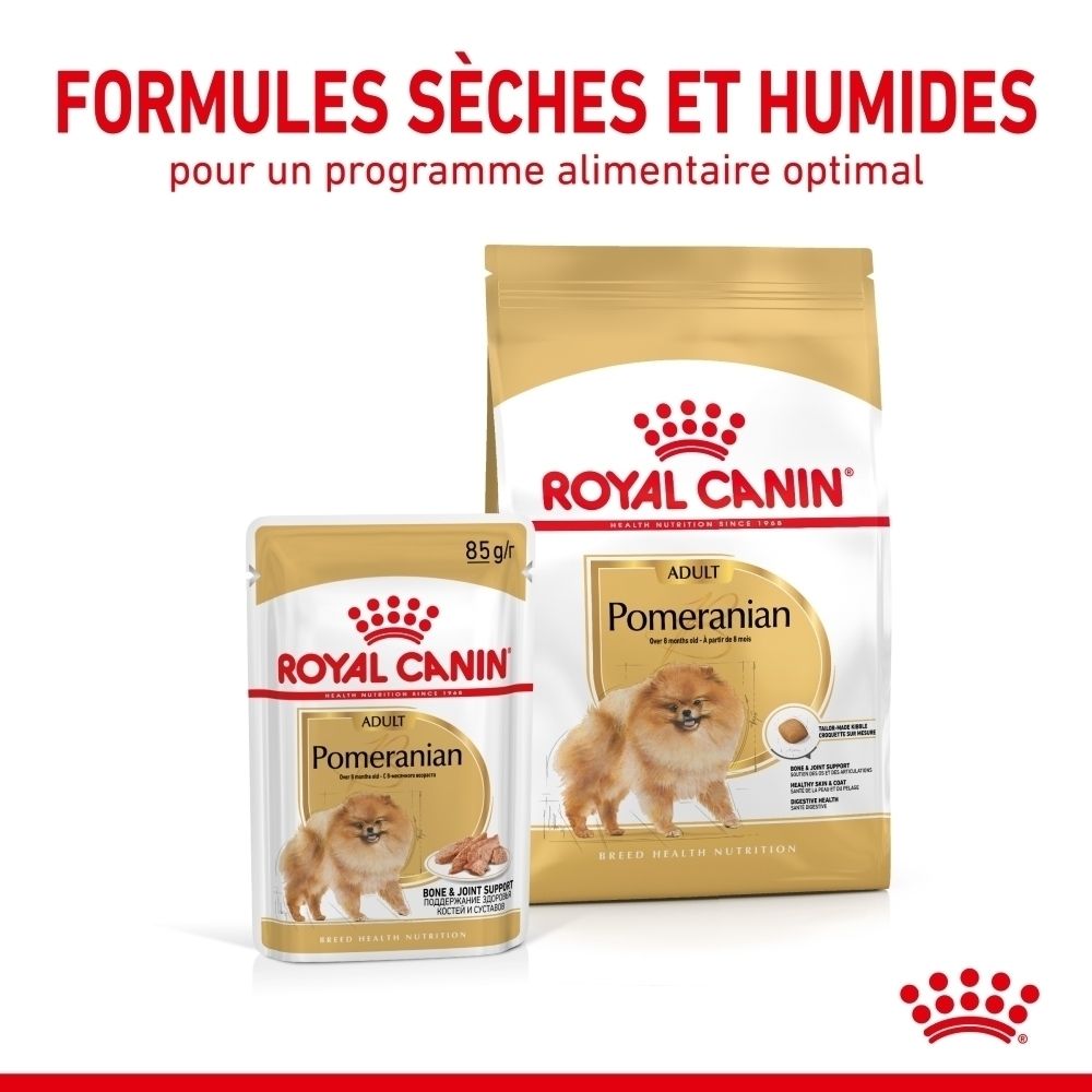 Royal Canin Pomeranian Futter: Beutel und Schale für erwachsene Hunde. Goldfarbene Verpackung mit Hundebild.
