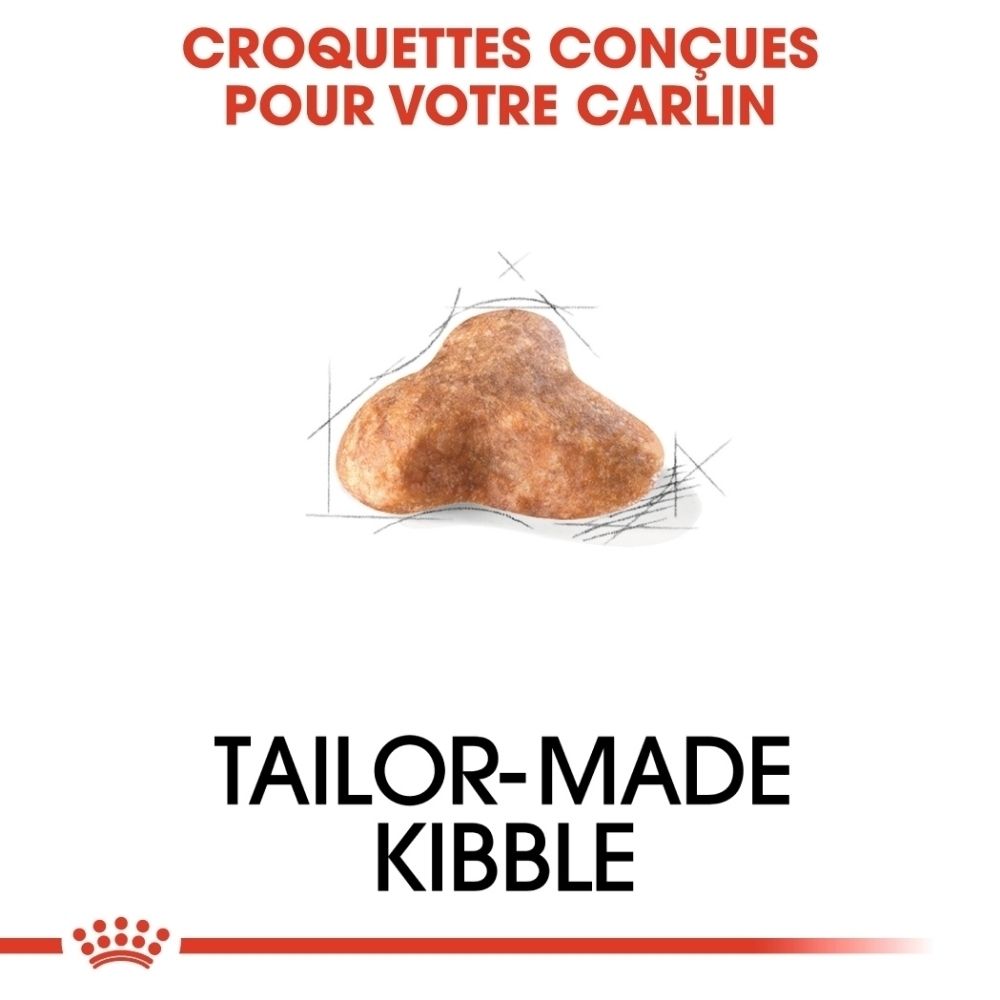 Eine einzelne, braune Krokettenform mit einer Skizze.