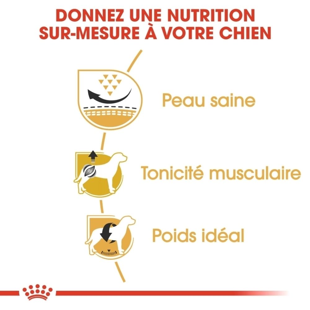Grafik zeigt Vorteile der Hundeernährung: Gesunde Haut, Muskeltonus, Idealgewicht.