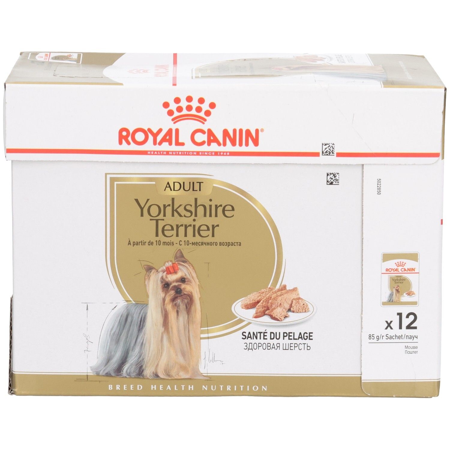 Royal Canin Yorkshire Terrier Adult Multipackung, Vorderansicht mit Hund und Futter.