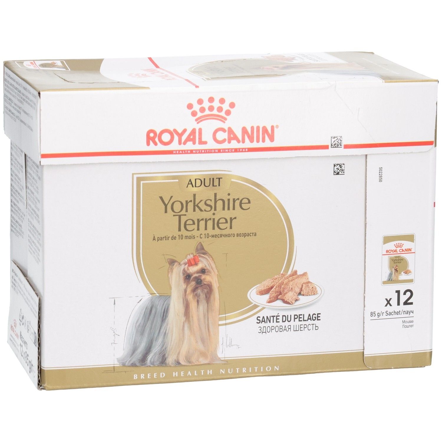 Royal Canin Yorkshire Terrier Adult Multipackung, schräge Vorderansicht mit Hund.