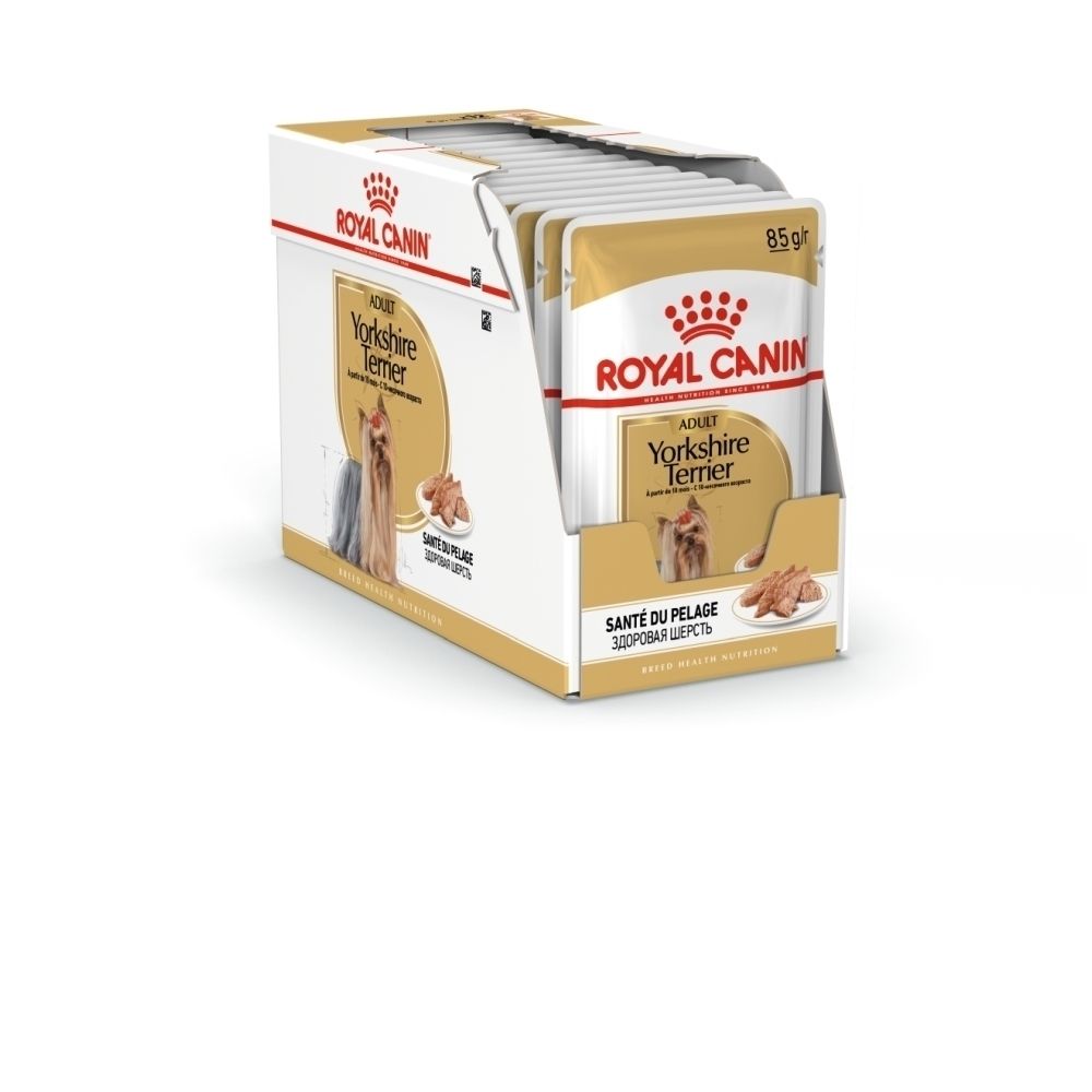 Royal Canin Yorkshire Terrier Futter-Display mit 12 Beuteln.