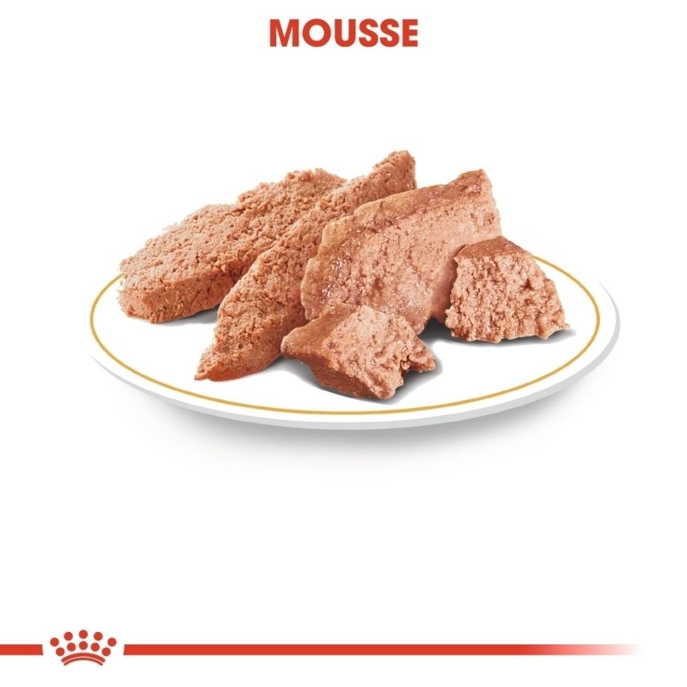 Fleischmousse auf einem Teller mit gelbem Rand.