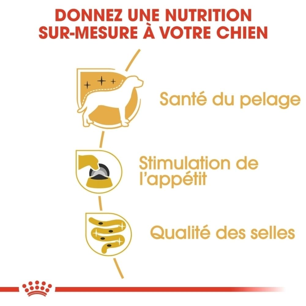 Grafik mit drei Icons: Hund für Fellgesundheit, Hand mit Futter für Appetitanregung, Darm für Stuhlqualität. Text: Maßgeschneiderte Ernährung für Ihren Hund.