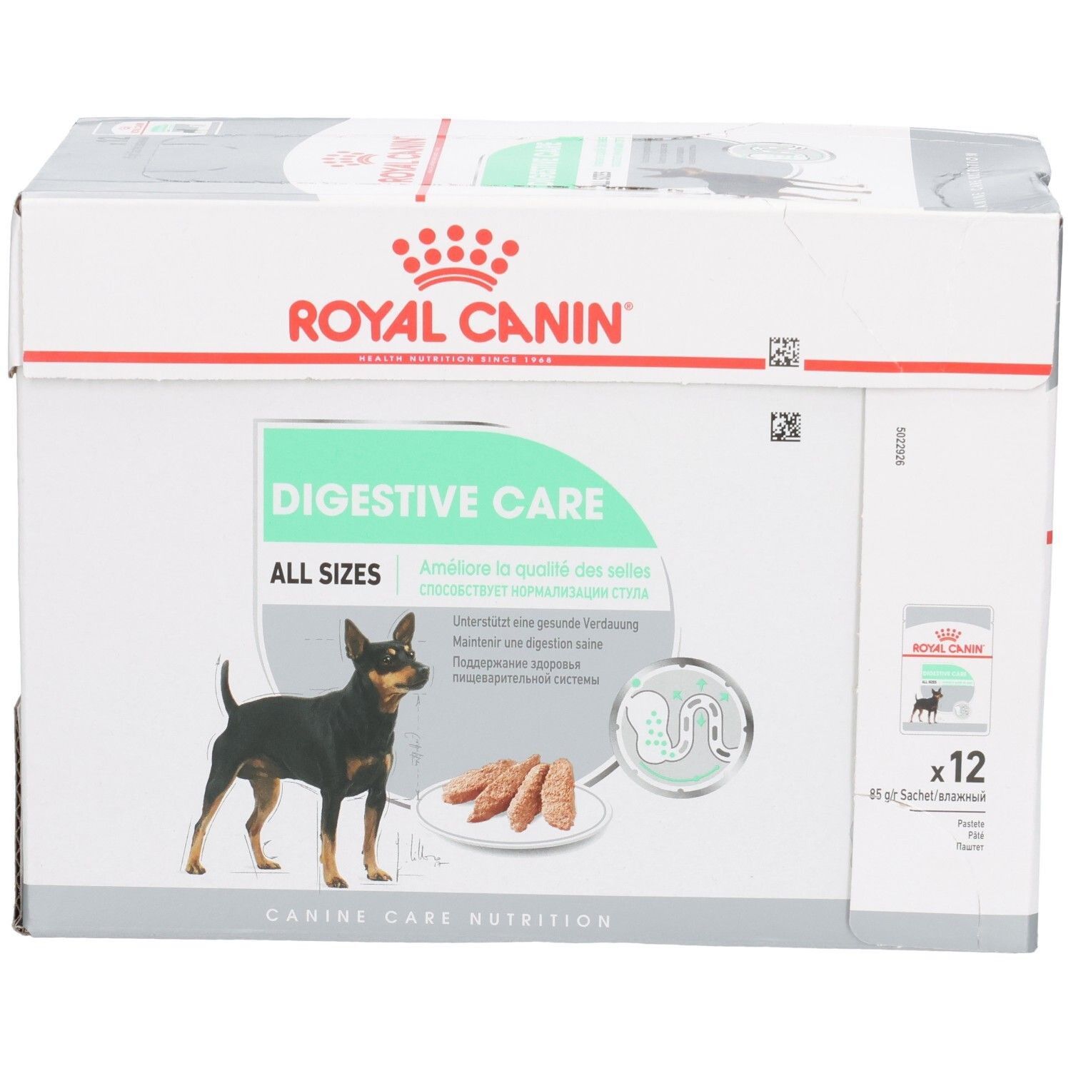 Royal Canin Digestive Care Karton, Vorderansicht mit Hund und Produktbezeichnung.