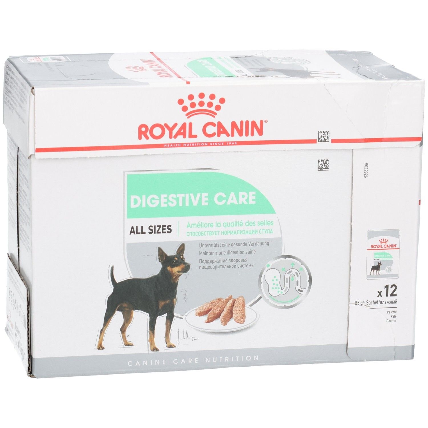 Royal Canin Digestive Care Karton, schräge Vorderansicht mit Hund und Produktbezeichnung.