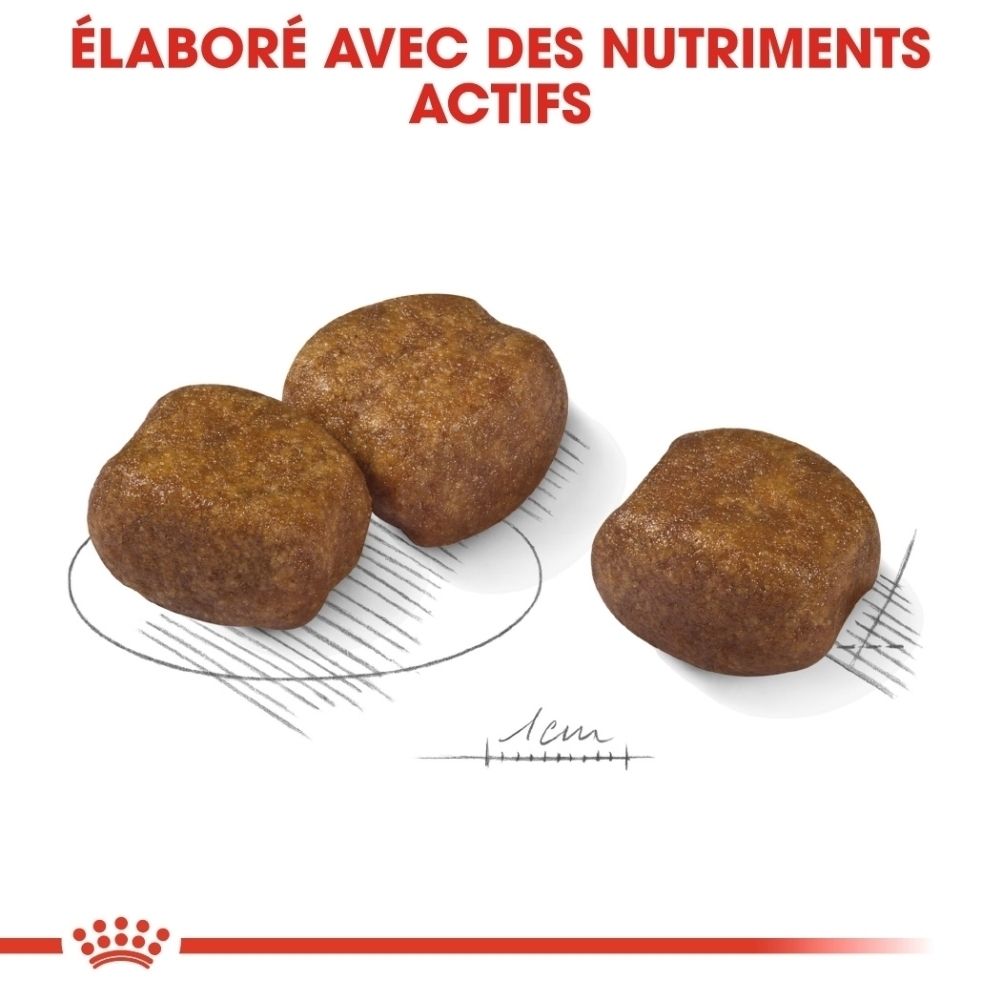 Drei braune Kroketten mit unregelmäßiger Form, eine davon mit einer Skala von 1 cm.