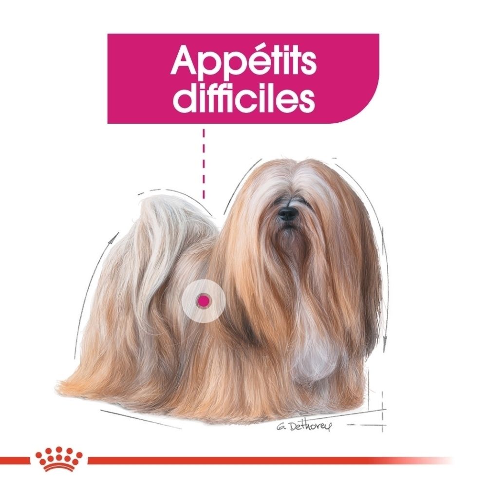 Illustration eines Lhasa Apso Hundes mit langem Fell. Ein rosa Kreis markiert den Brustbereich.