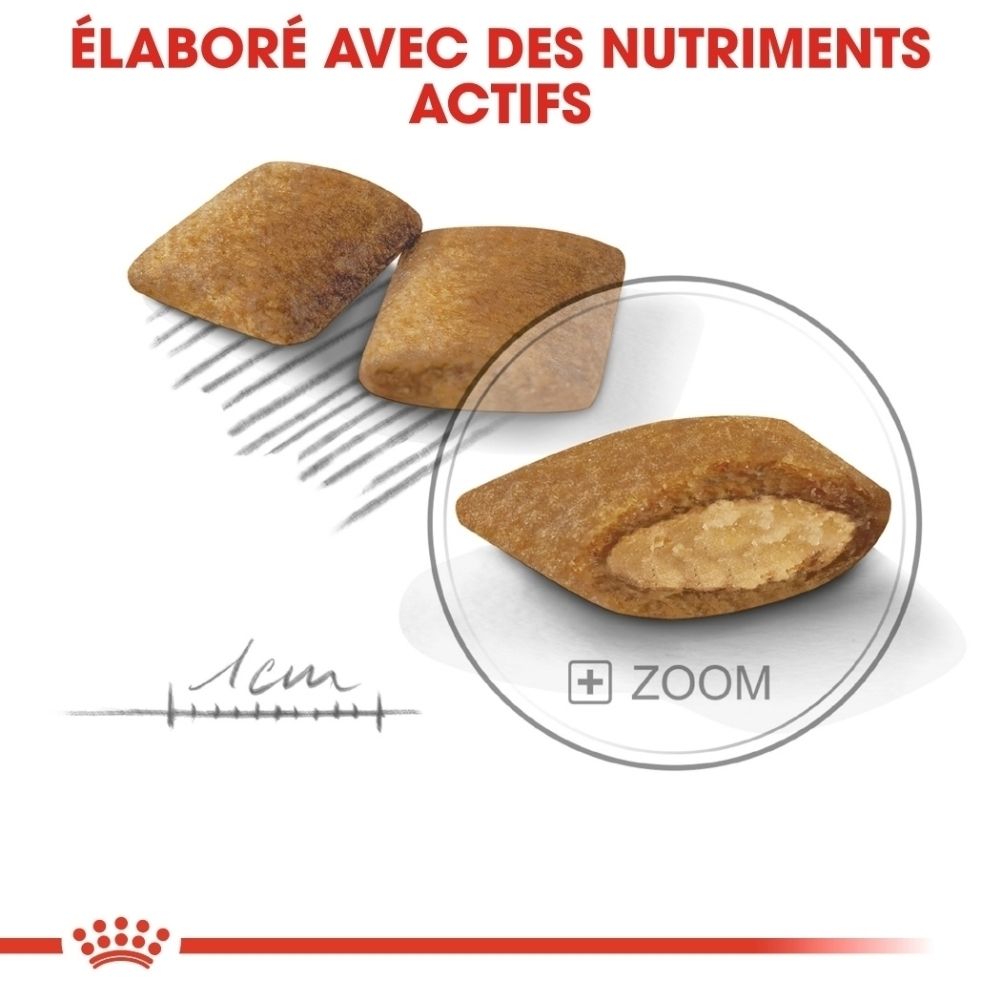 Zwei braune, rechteckige Kroketten mit Füllung. Eine Kroketten ist vergrößert und zeigt die cremige Füllung.