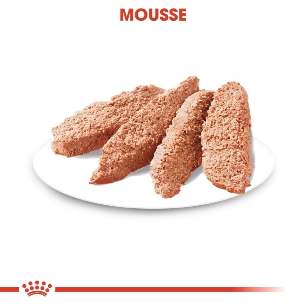 Vier Portionen braune Mousse auf einem weißen Teller.