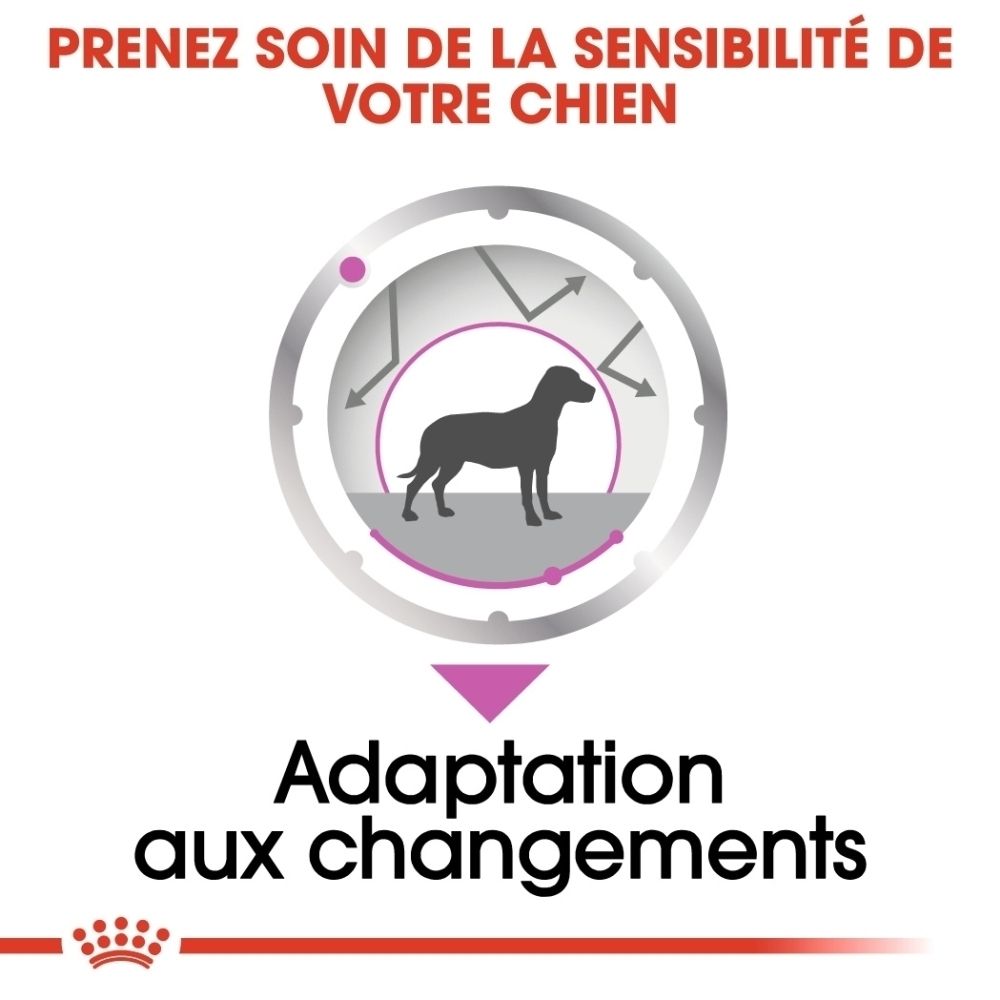 Grafik zeigt Hundesilhouette in einem Kreis mit Pfeilen, die Anpassung an Veränderungen symbolisieren.