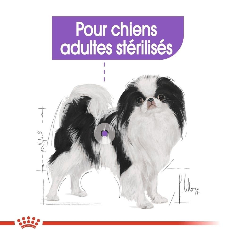 Illustration eines schwarz-weißen Hundes mit Maßzeichnungen. Text: Für kastrierte erwachsene Hunde.