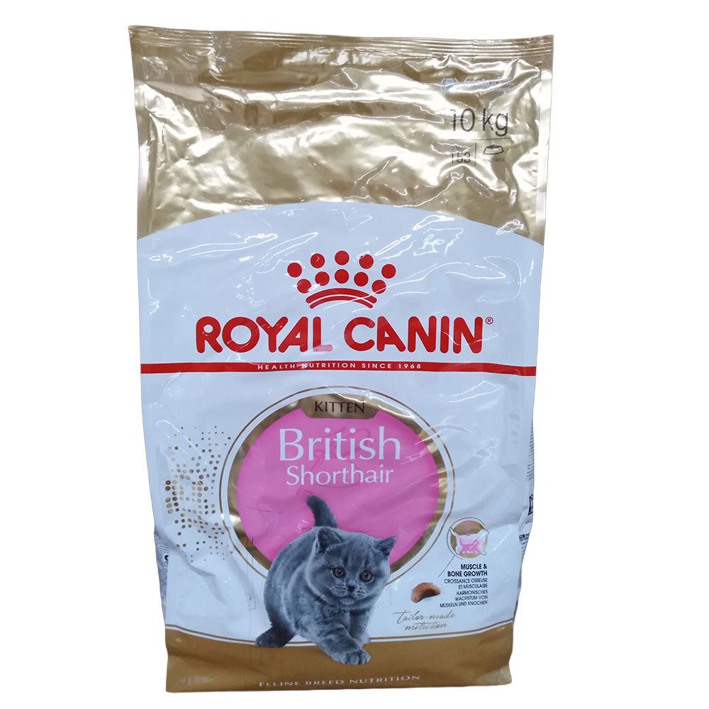 Royal Canin Feline Breed Nutrition British Shorthair Kitten Trockenfutter, 10 kg Beutel.