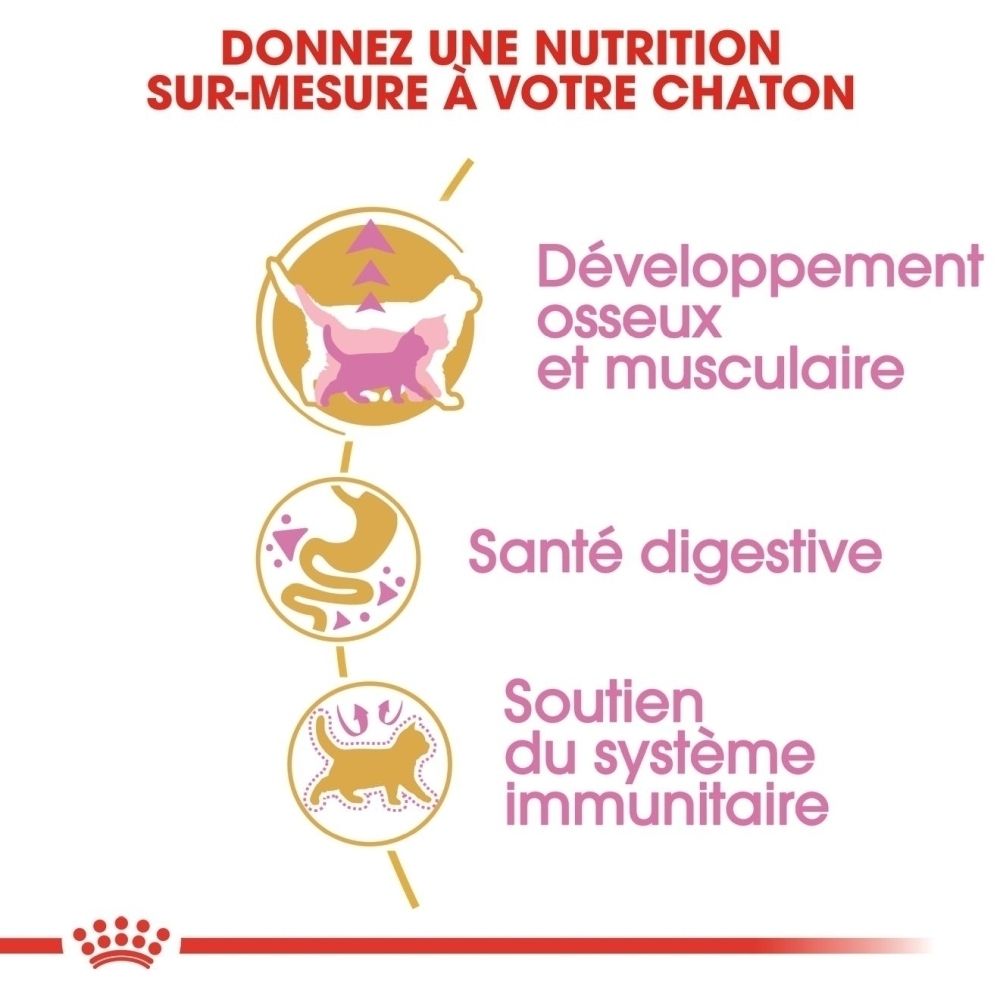 Grafik mit drei Icons: Katze für Knochen- und Muskelentwicklung, Magen für Verdauungsgesundheit, Katze für Immununterstützung.