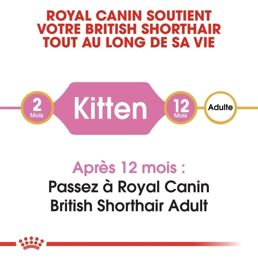 Royal Canin: Von 2 Monaten Kitten zu 12 Monaten Adult für Britisch Kurzhaar.