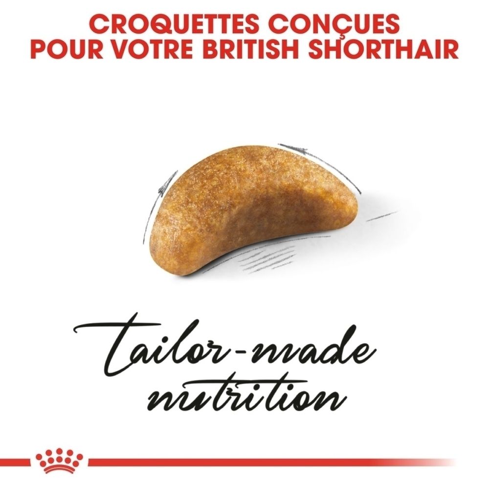 Ein einzelner Kroketten für britische Kurzhaarkatzen, braun und oval.