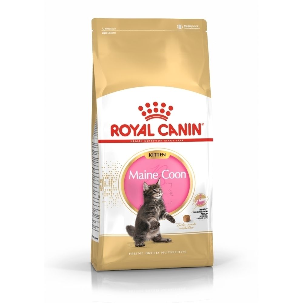 Royal Canin Kitten Maine Coon Katzenfutter-Packung mit Bild einer Katze.