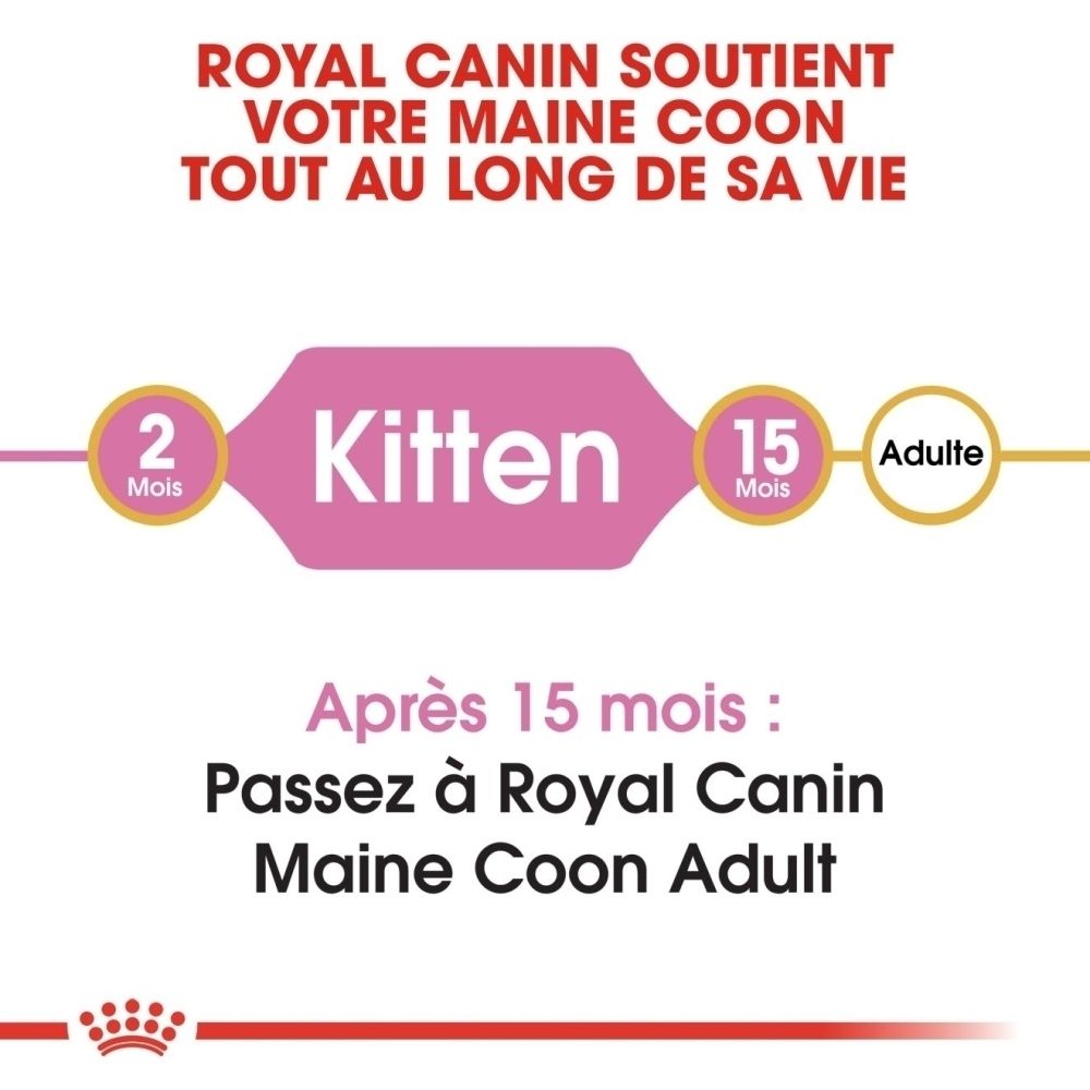 Royal Canin: Von 2 Monaten Kitten zu 15 Monaten Adult Maine Coon Futter.