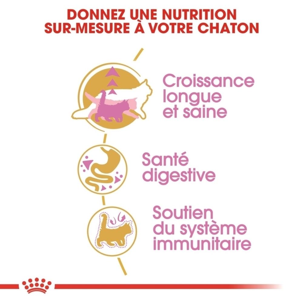 Grafik mit drei Icons: Katze für Wachstum, Magen für Verdauung, Katze für Immunsystem. Text: "Gesundes, langes Wachstum", "Verdauungsgesundheit", "Unterstützung des Immunsystems".