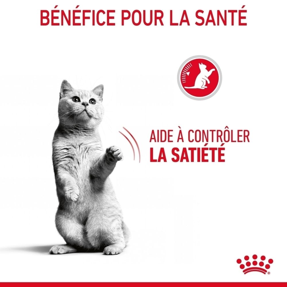 Eine Katze steht aufrecht. Text besagt: "Hilft, Sättigung zu kontrollieren".