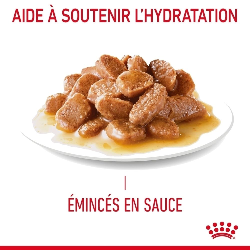 Royal Canin Digestive Care: Émincés en sauce pour une digestion saine.