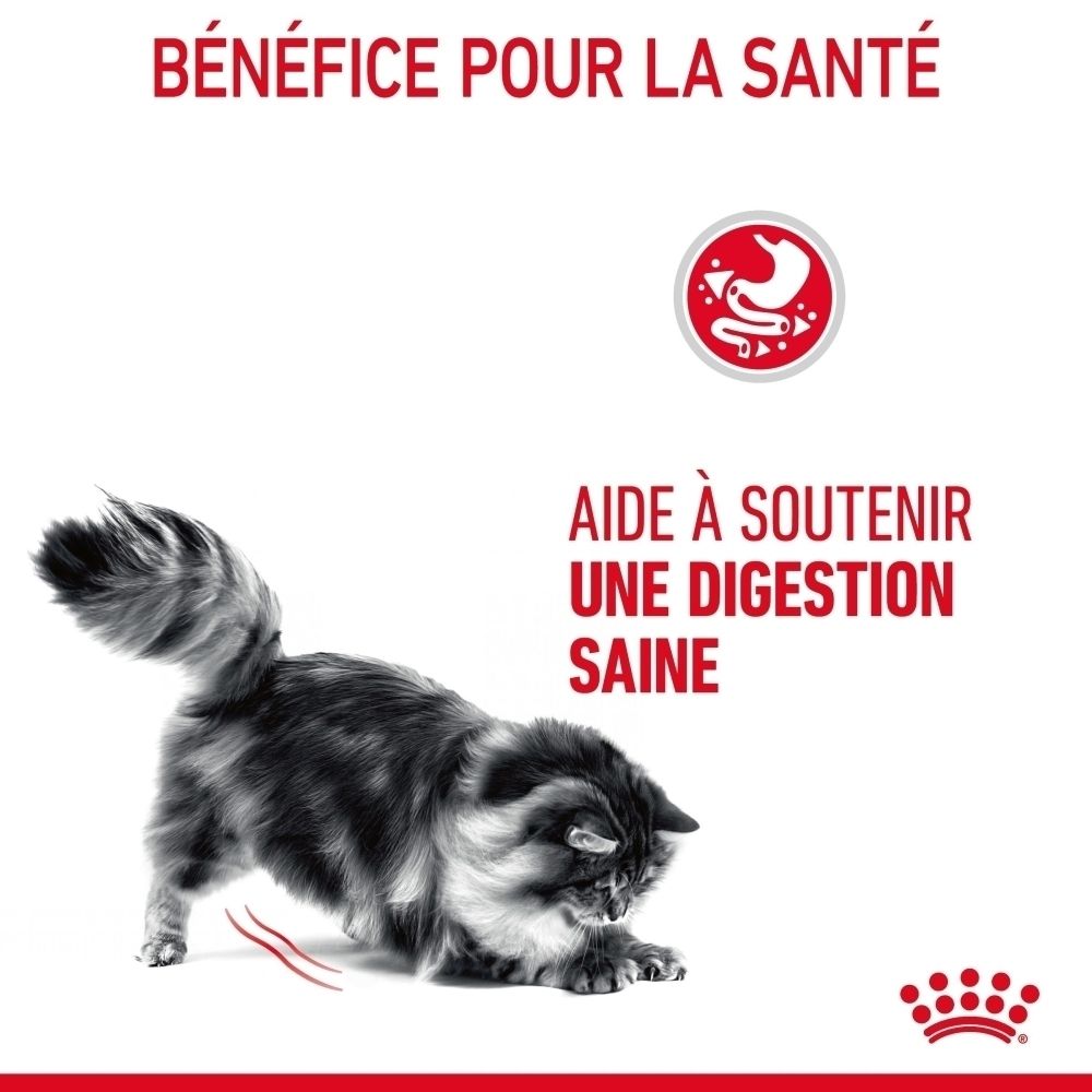 Royal Canin Digestive Care: Émincés en sauce pour une digestion saine.