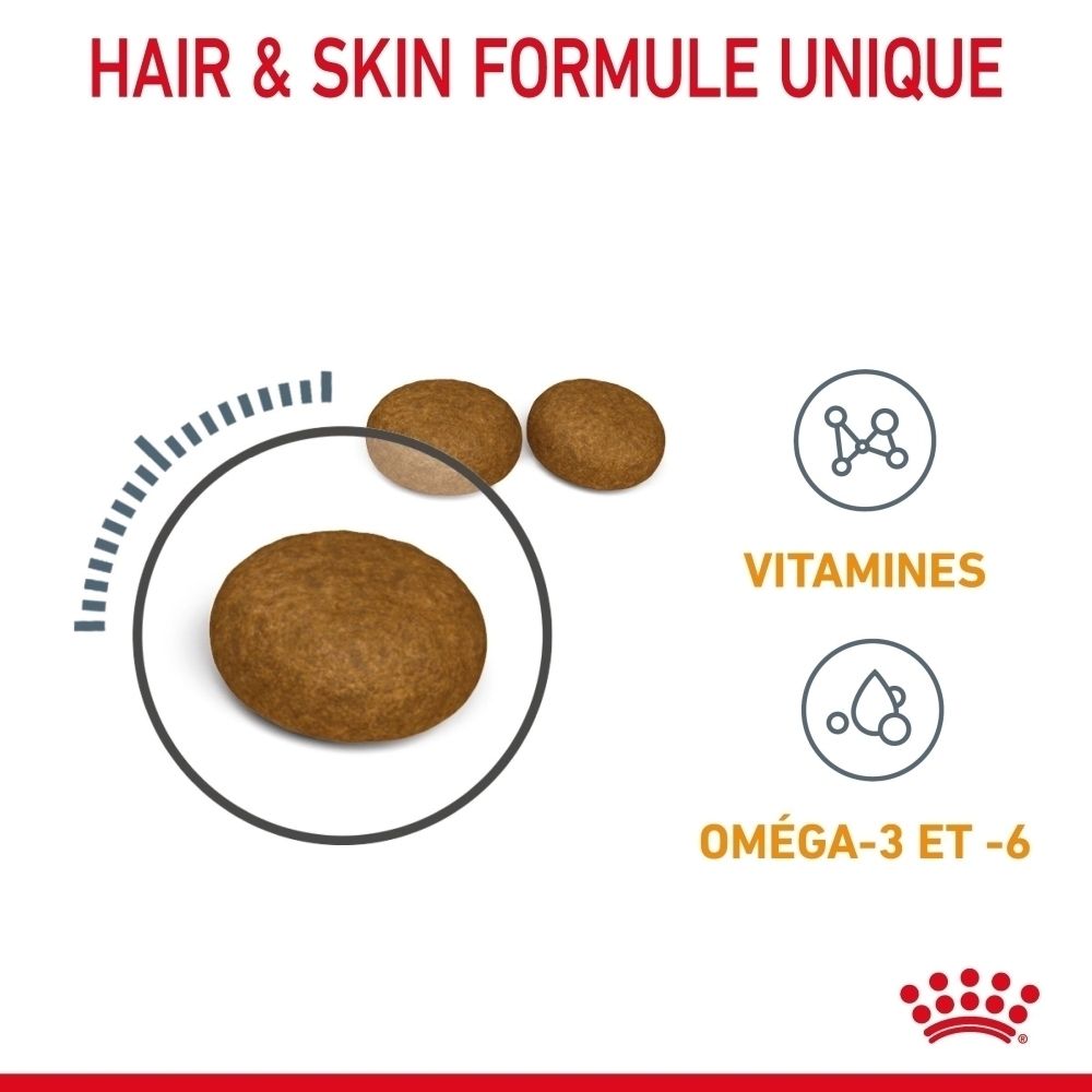 Drei braune, runde Kroketten, eine davon in einem Kreis mit einem Messbogen. Daneben Icons für Vitamine und Omega-3/6.