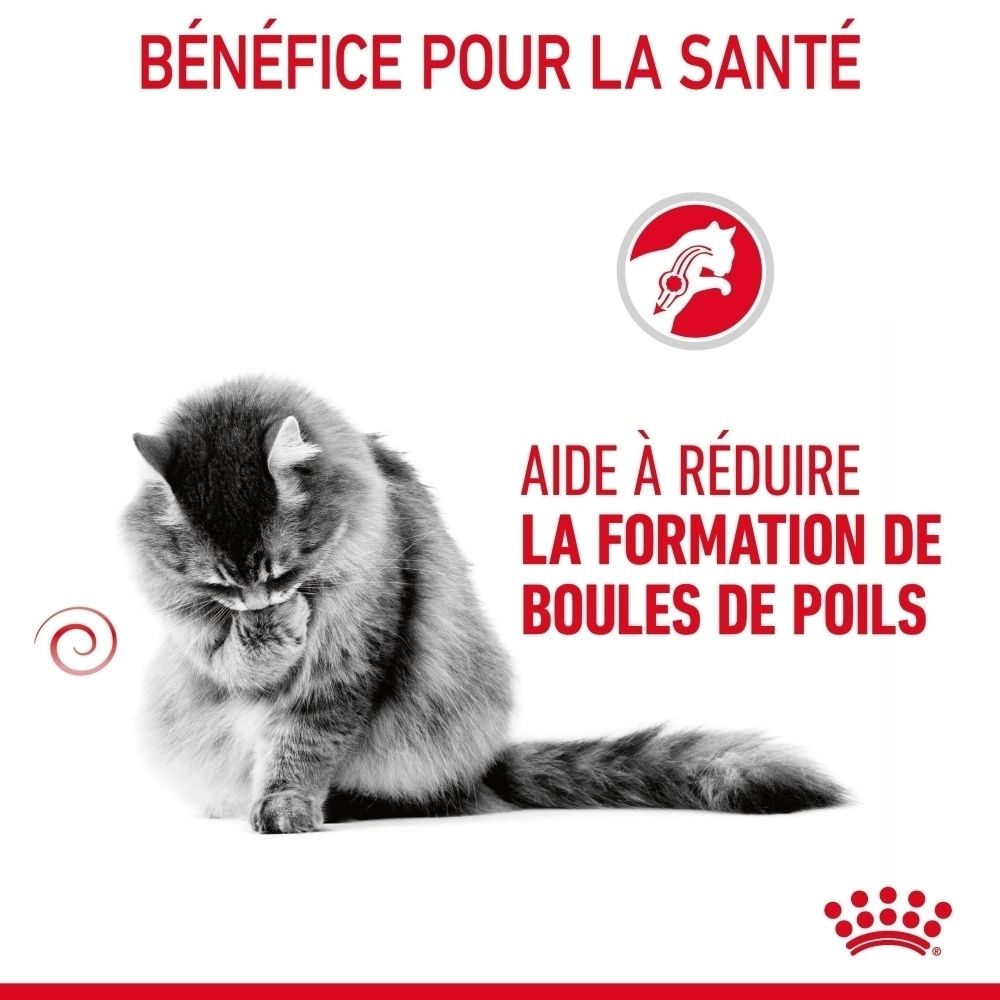 Graue Katze mit Fellknäuel-Symbol. Text: Hilfe bei der Reduzierung von Fellknäueln.