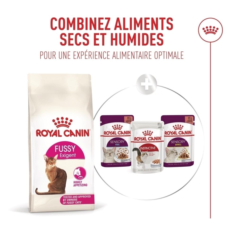 Royal Canin Fussy Exigent Trockenfutter für Katzen und drei Beutel Nassfutter.