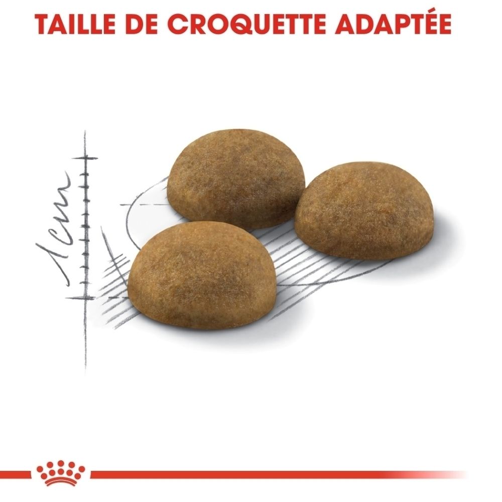 Drei braune Kroketten auf einem technischen Diagramm mit Größenmarkierungen.