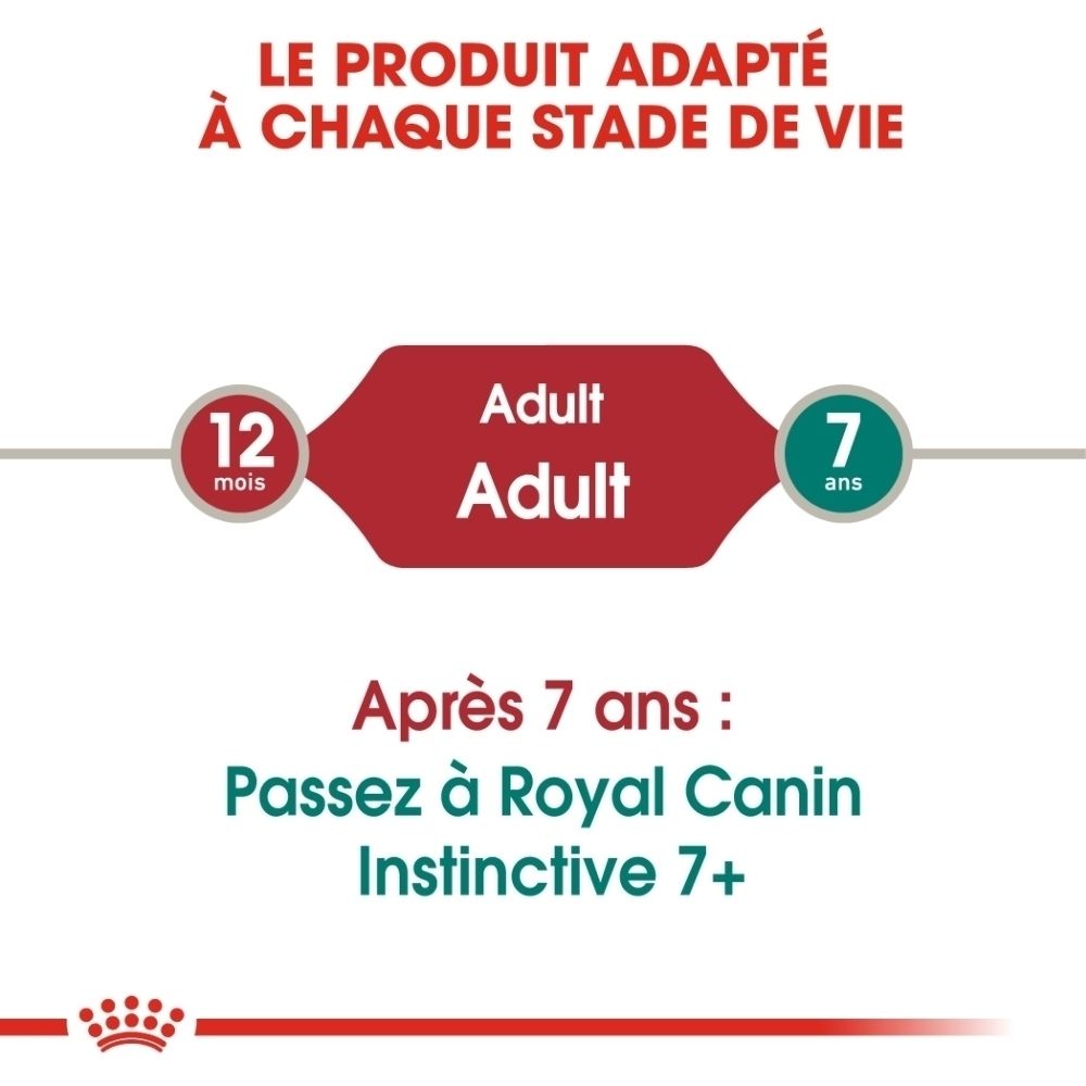 Produkt für jedes Lebensalter: 12 Monate, Adult, 7 Jahre.