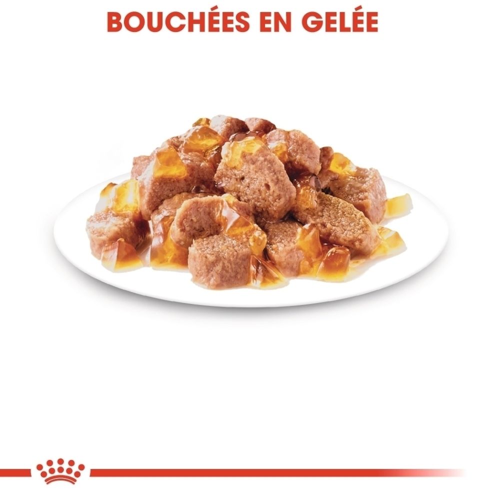 Fleischstücke in Gelee auf einem weißen Teller.