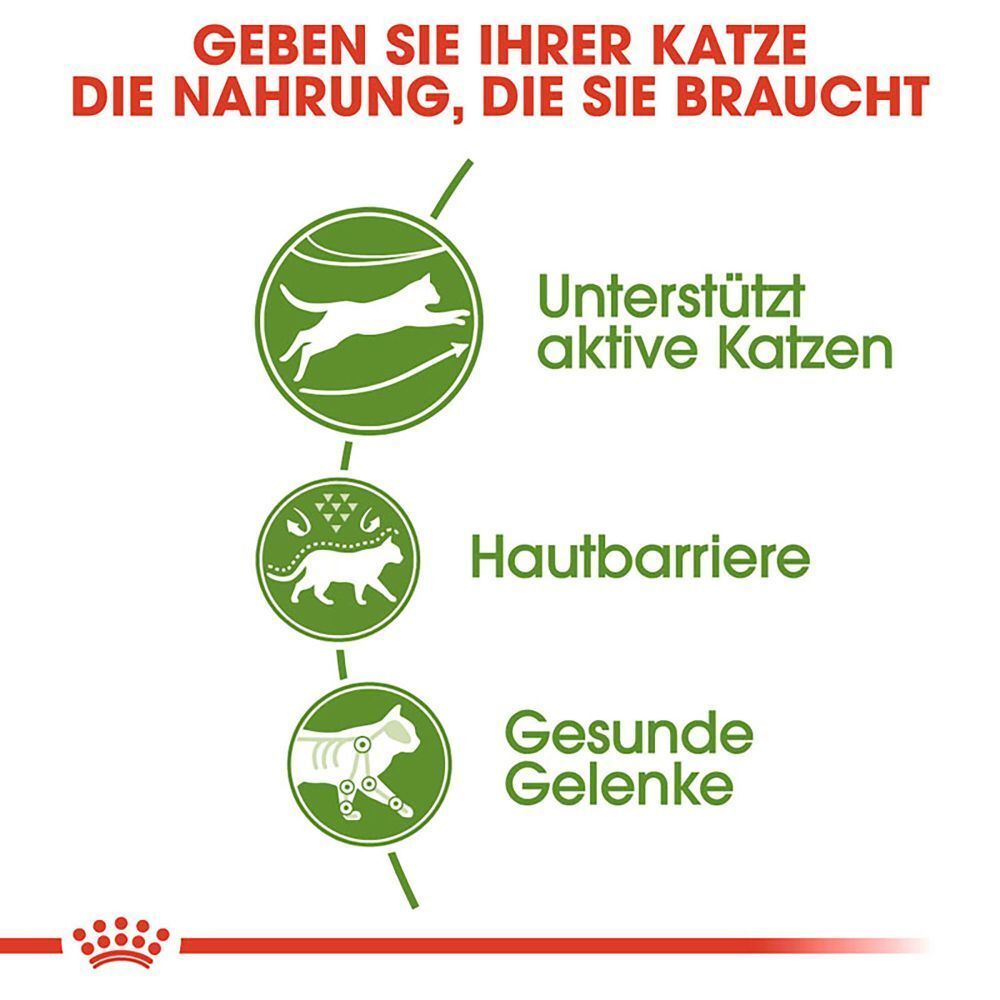 Grafik mit drei Kreisen, die Vorteile für Katzen zeigen: aktive Katzen, Hautbarriere, gesunde Gelenke.