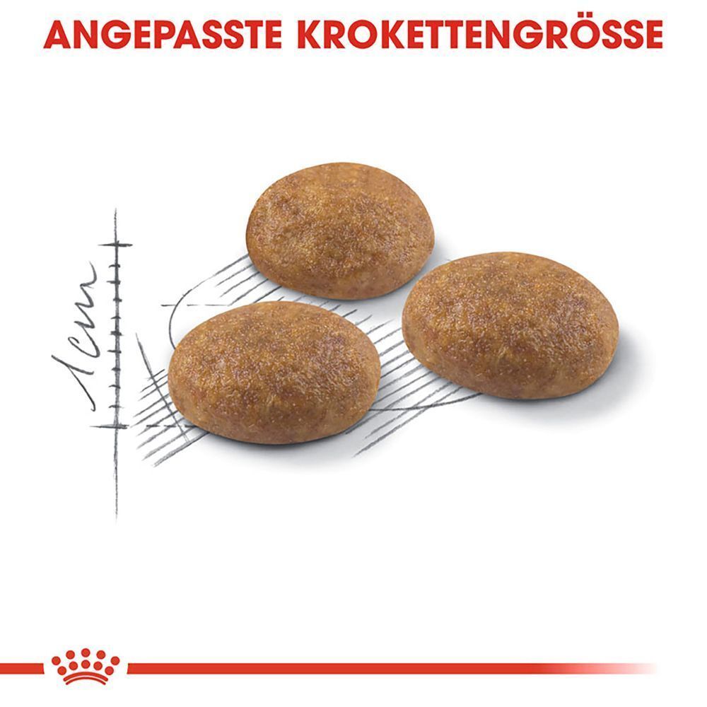 Drei runde, braune Kroketten mit angepasster Größe, daneben eine Skala.