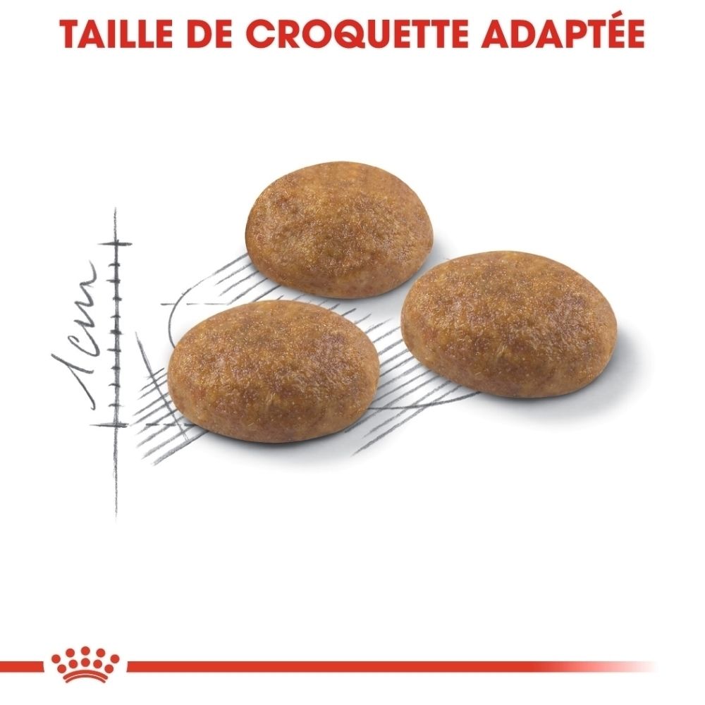 Drei runde, braune Kroketten mit einer Größe von etwa 1 cm, auf einem weißen Hintergrund.