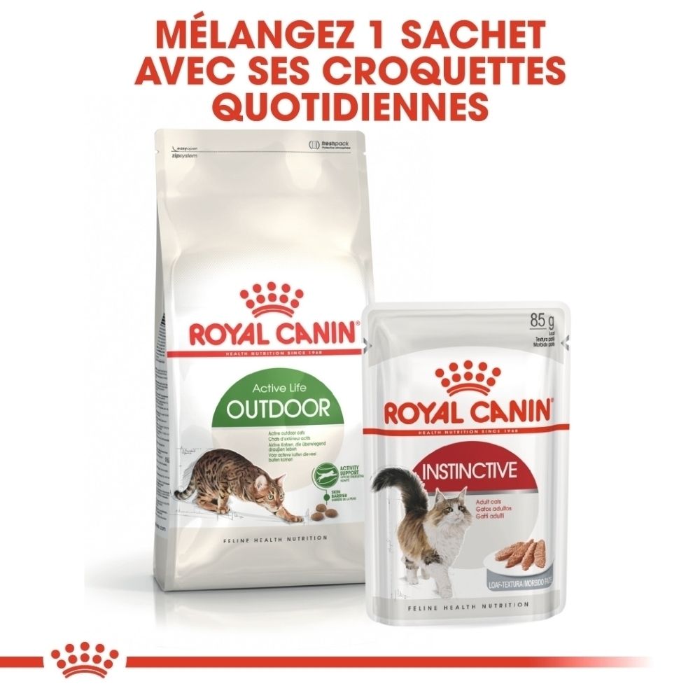Zwei Royal Canin Katzenfutterpackungen: eine große Tüte 'Outdoor' und ein kleinerer Beutel 'Instinctive'.