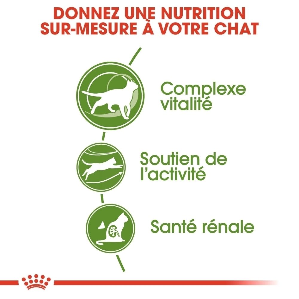 Grafik mit drei Icons: Katze für Vitalität, springende Katze für Aktivität, Katze mit Niere für Nierengesundheit.
