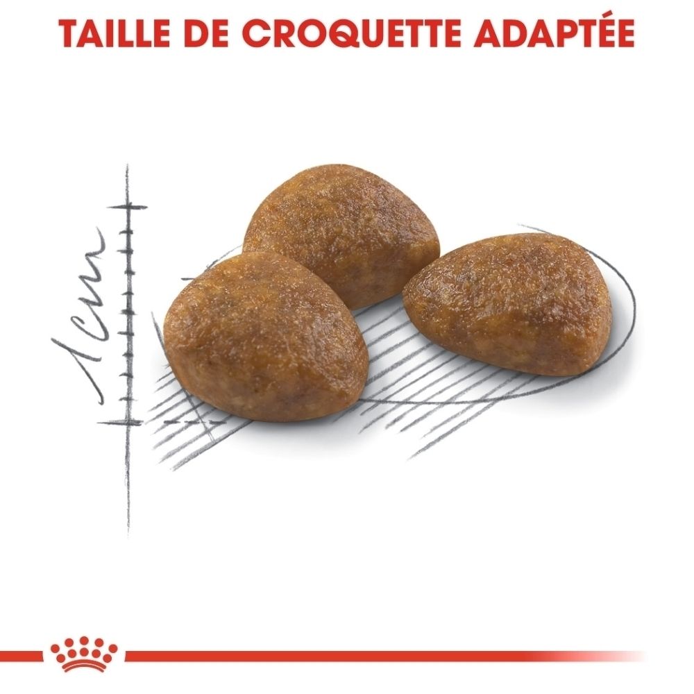 Drei braune Kroketten mit unregelmäßiger Form, daneben eine Skala.