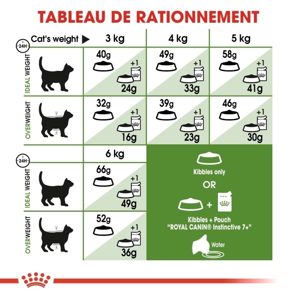 Fütterungstabelle für Katzen: Gewicht, Ideal- und Übergewicht, Futtermenge in Gramm.