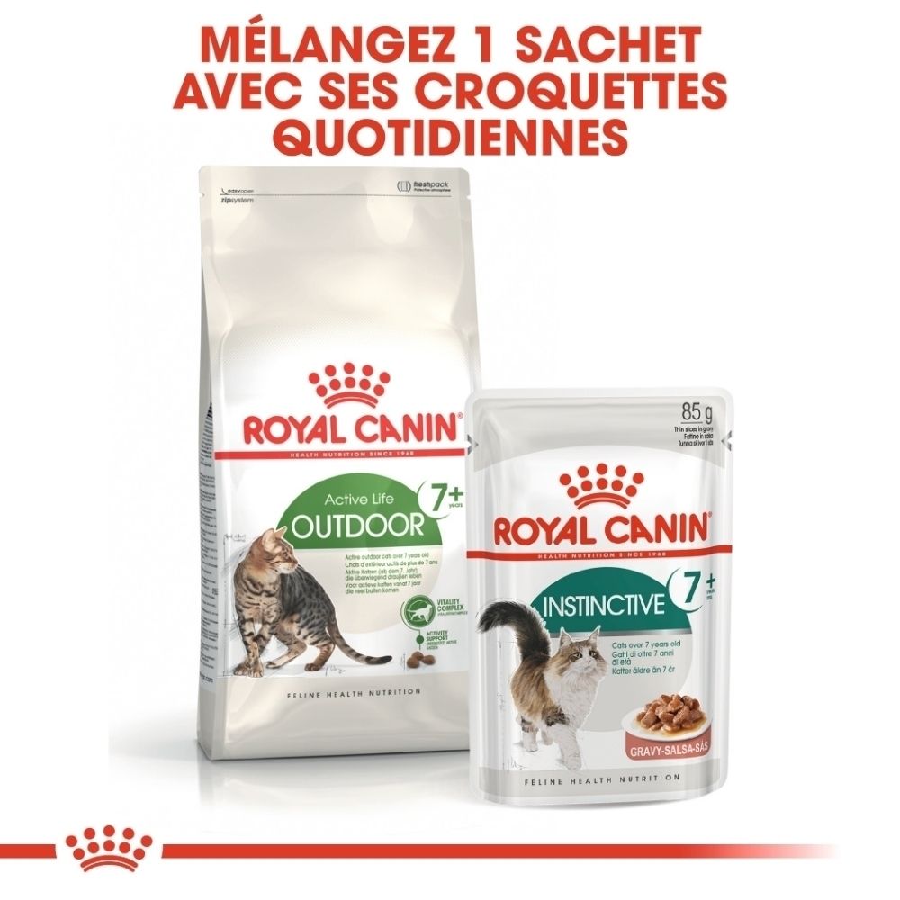 Zwei Royal Canin Katzenfutterpackungen: eine große Tüte und ein kleinerer Beutel mit 85g.