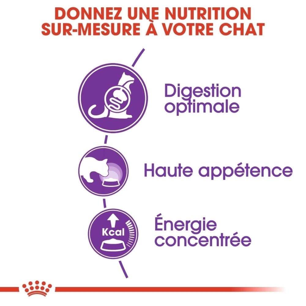Grafik mit drei Icons: Verdauung, Appetit, Energie. Text: Maßgeschneiderte Ernährung für Ihre Katze.