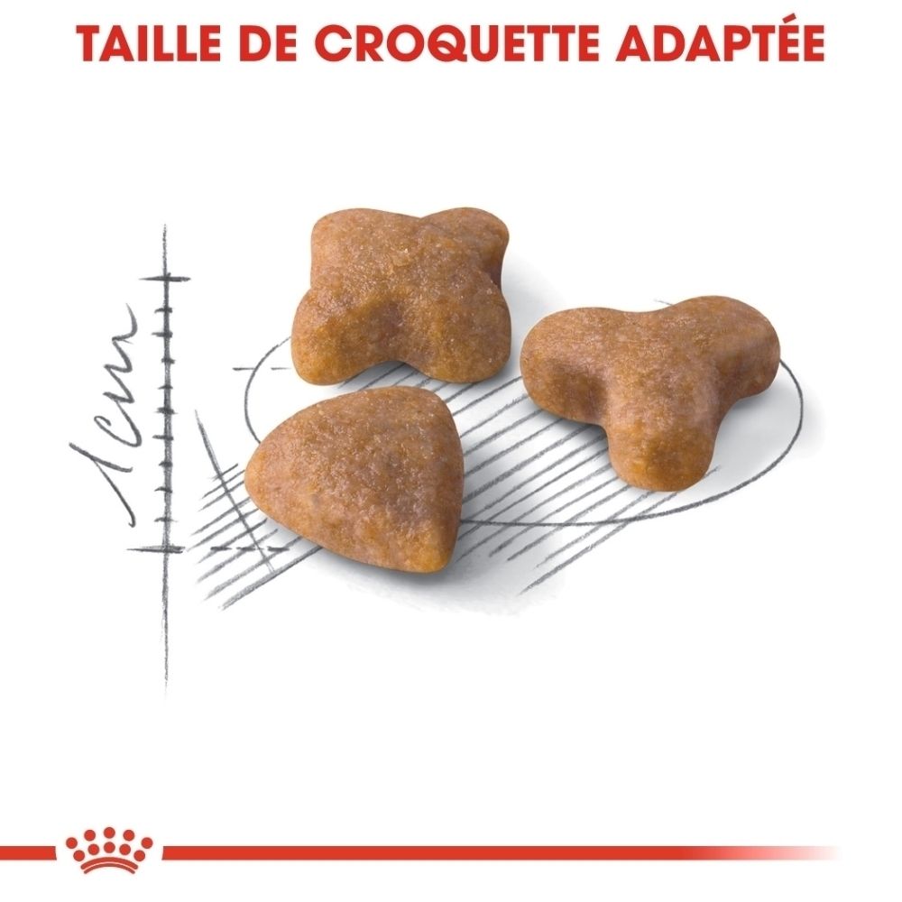 Drei braune Kroketten in verschiedenen Formen auf weißem Hintergrund mit technischen Zeichnungen.