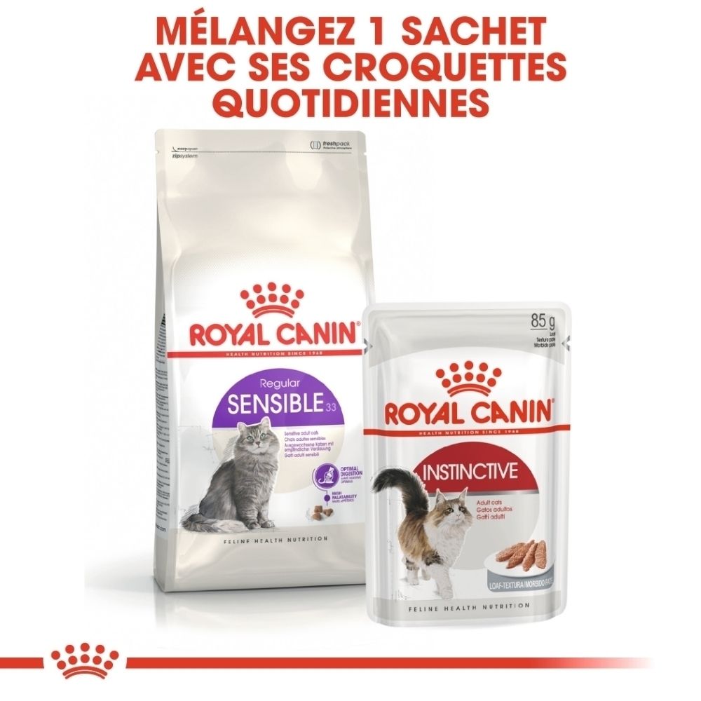 Zwei Royal Canin Katzenfutter-Packungen: eine große Tüte und ein kleiner Beutel.