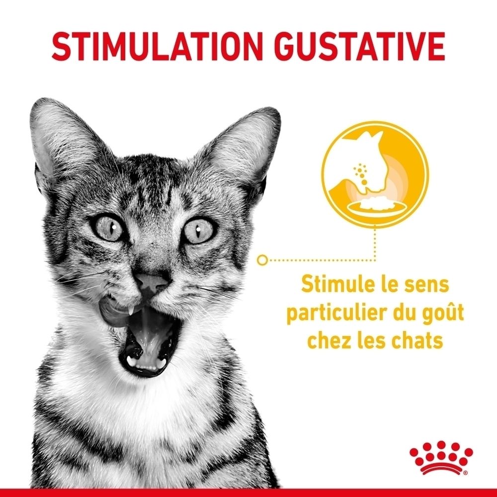 Katze leckt sich die Lippen, daneben ein Symbol für Futterstimulation.