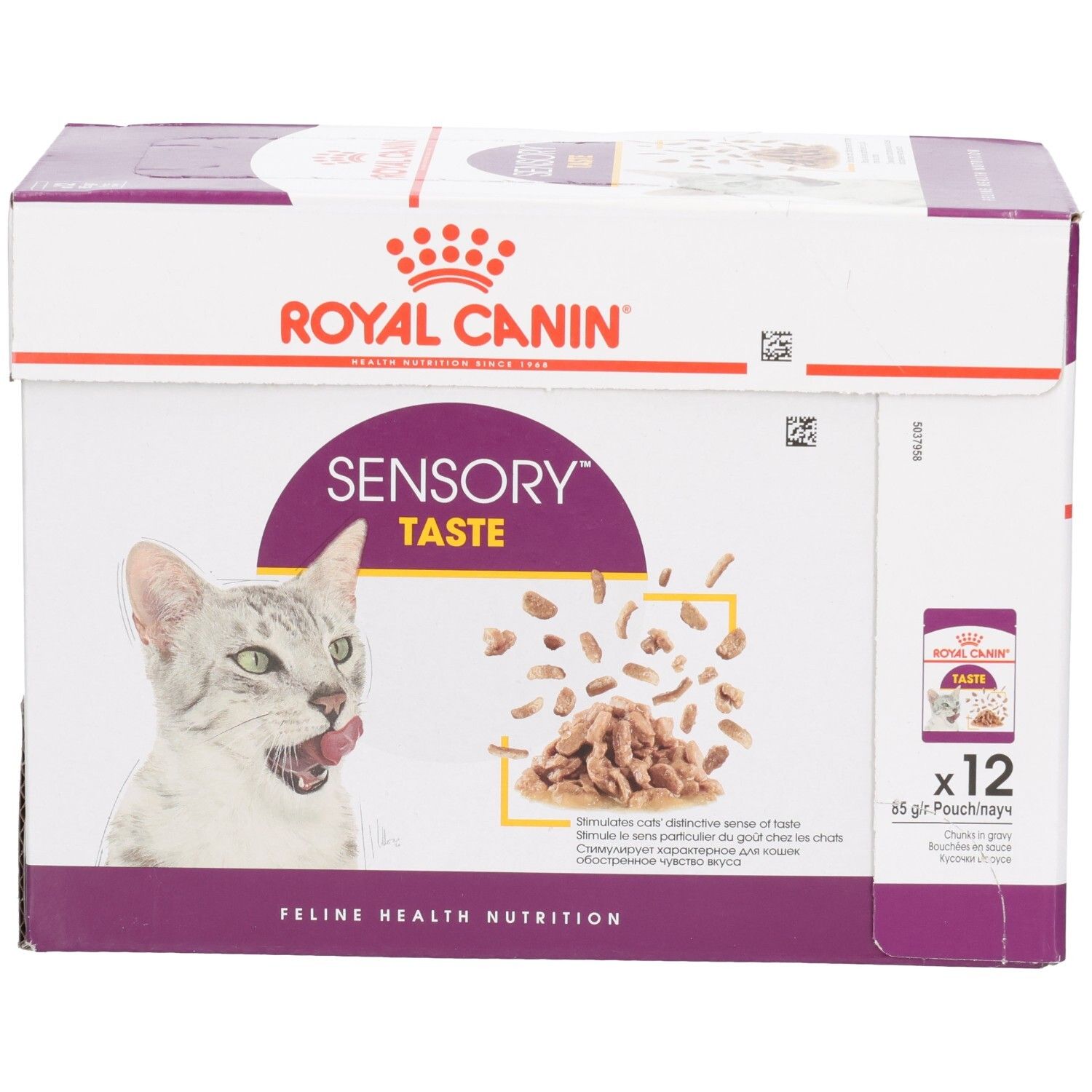 Royal Canin Sensory Taste Katzenfutter-Box, Vorderansicht mit Katze und Futterstückchen.
