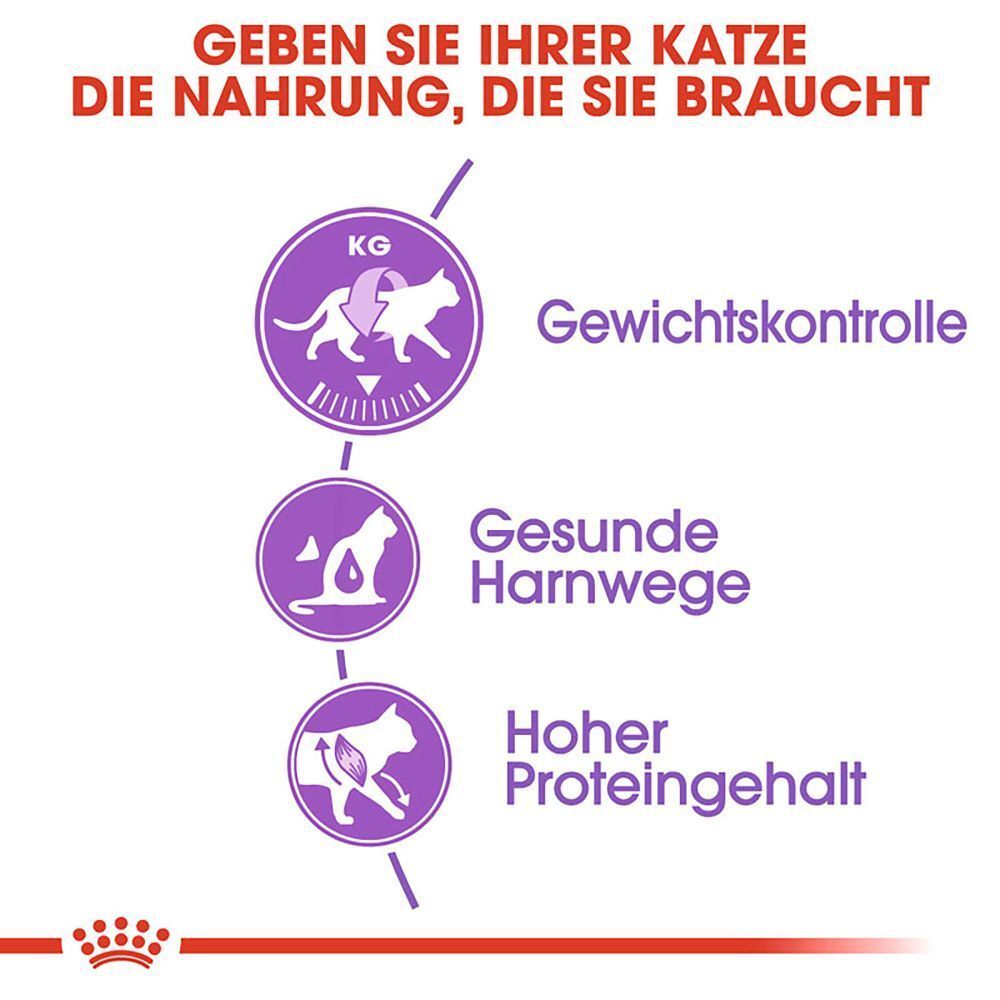 Drei Grafiken zeigen Katzennahrung-Vorteile: Gewichtskontrolle, gesunde Harnwege, hoher Proteingehalt.